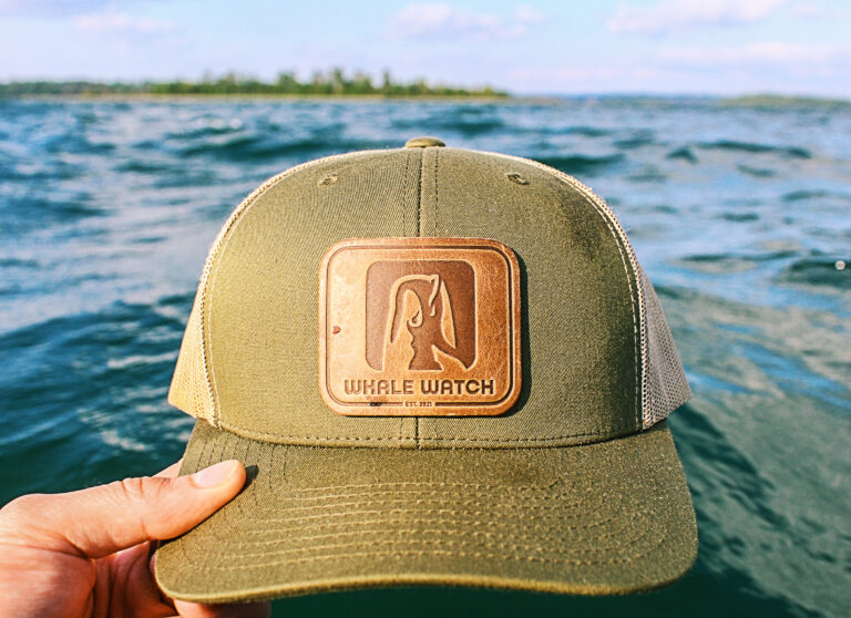 WHALE HAT ON CRYSTAL CLEAR WATER