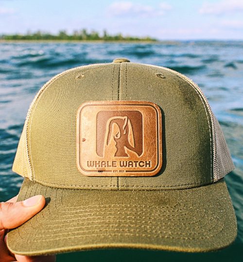 WHALE HAT ON CRYSTAL CLEAR WATER